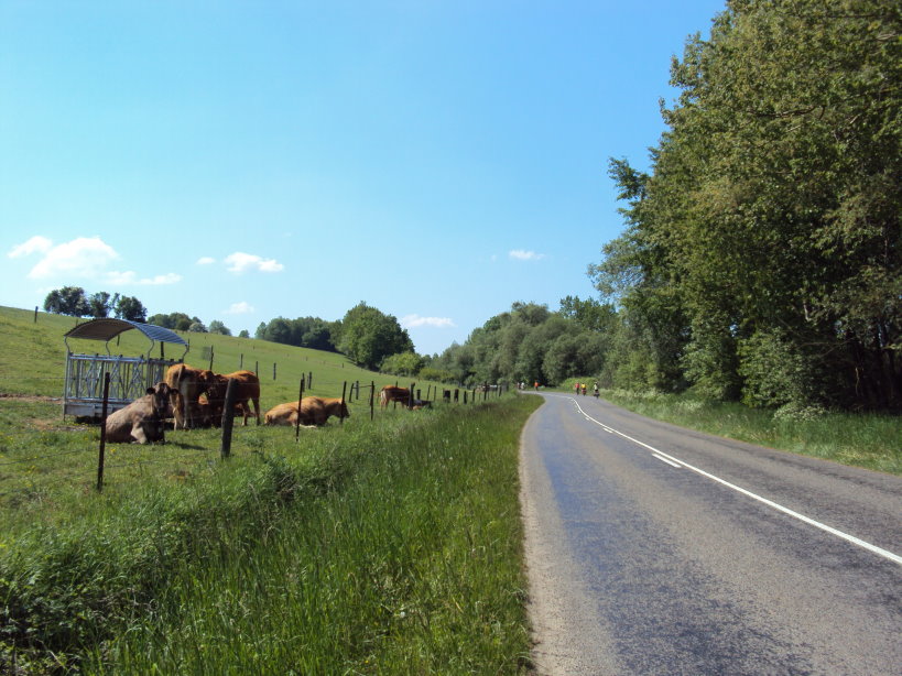 mouzon entre meuse et chier1900.jpg